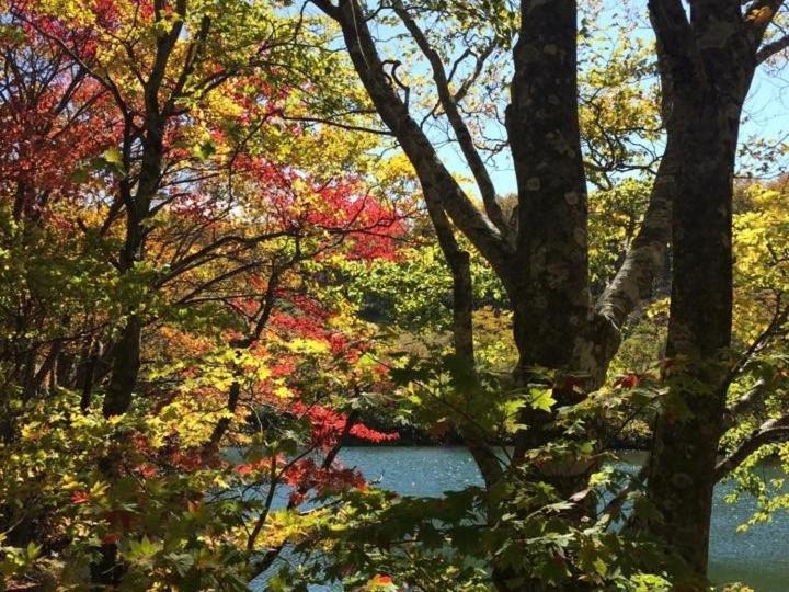 Forest Sangoro Lodge Yamagata (Yamagata)