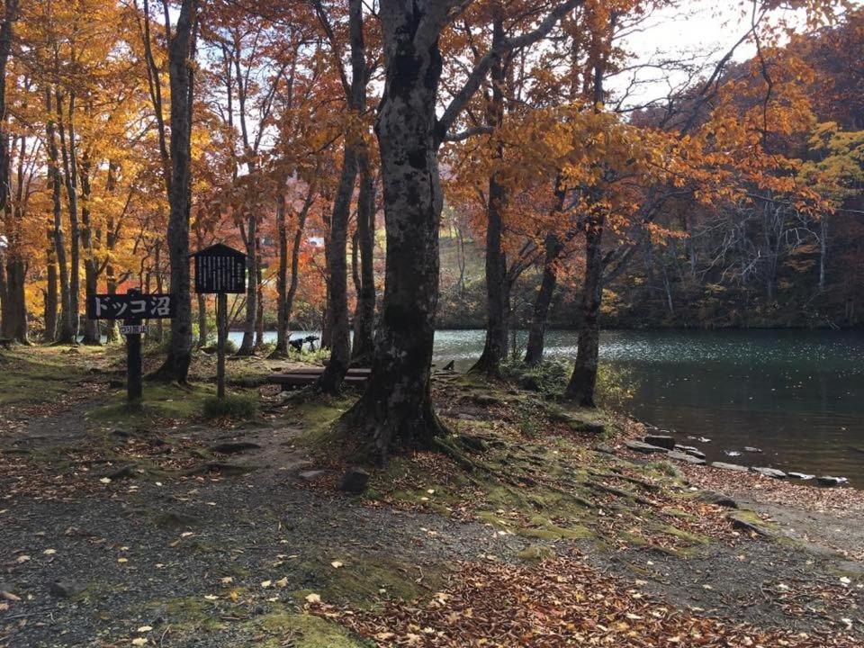 Forest Sangoro