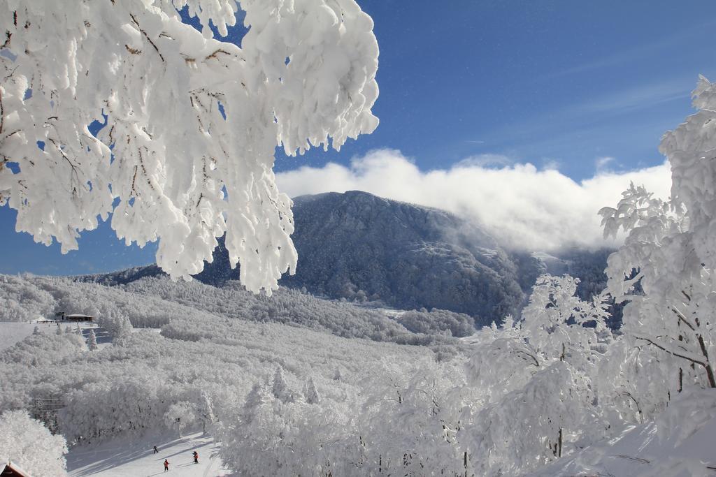 Forest Sangoro Lodge Yamagata (Yamagata)